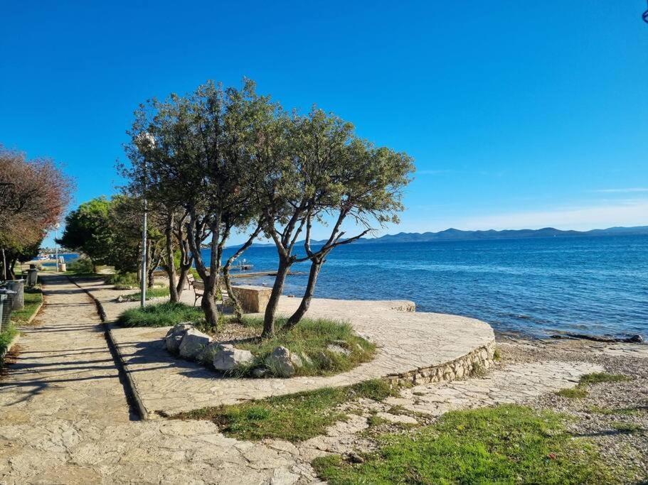 Sunny Sky Punta Skala, See View, 75 M To The Beach بيتريتْشاني المظهر الخارجي الصورة